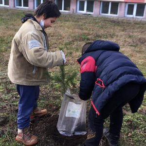 Ученици засадиха иглолистни дръвчета в двора на ОУ „Никола Икономов“